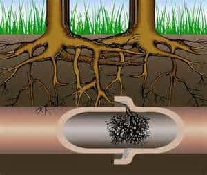 Plugged Sewer Line